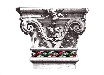 Angel Capital (Glossy White) 