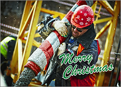 Concrete Holiday Card