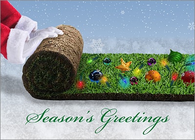 Holiday Sod Christmas Card (Glossy White)